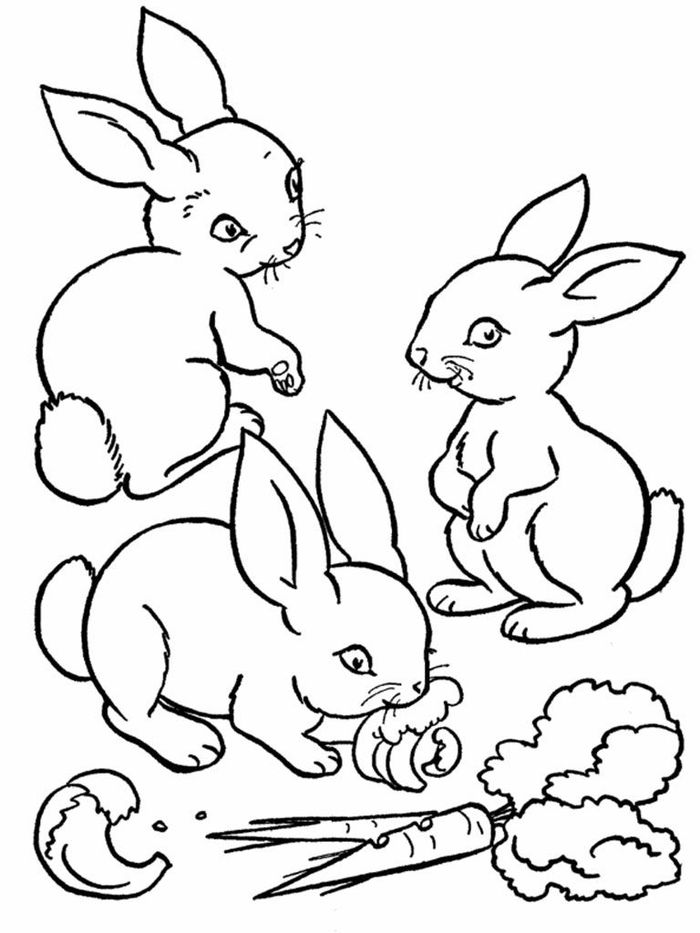 Free Rabbit Coloring Pages