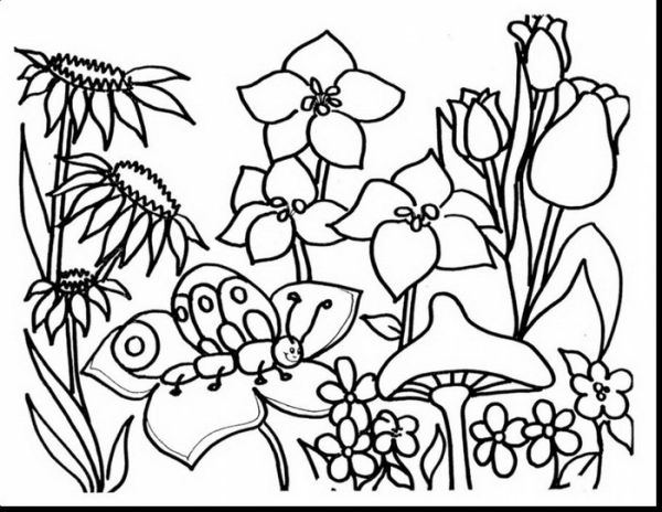 Garden spring flowers coloring pages