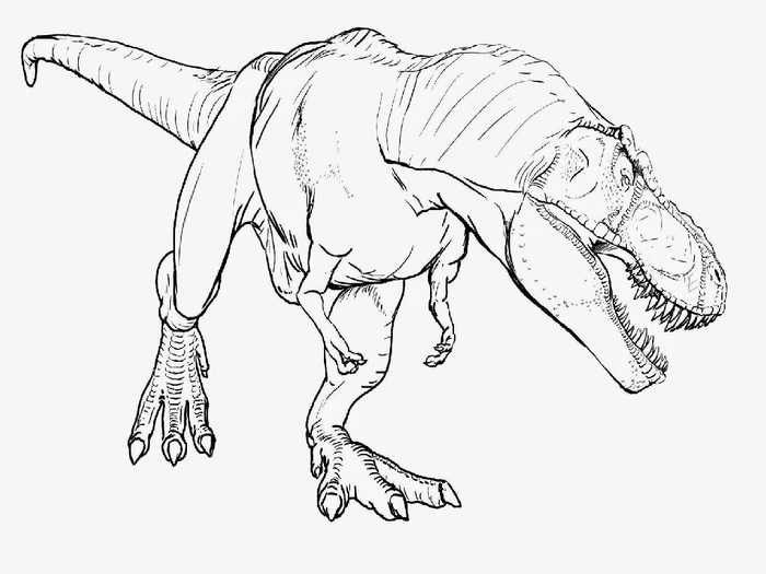 Giganotosaurus Dinosaur Coloring Page