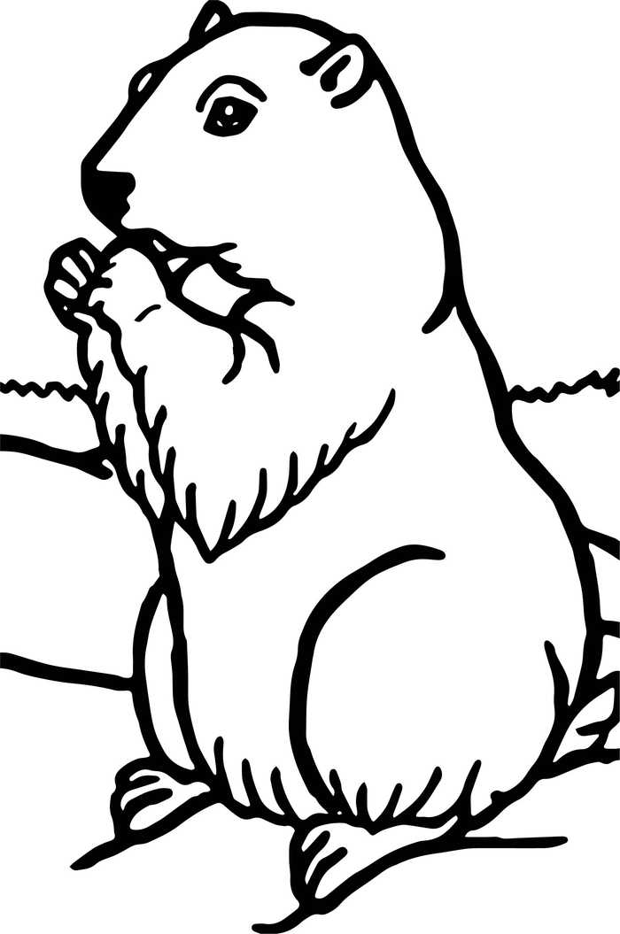 Groundhog Coloring Pages