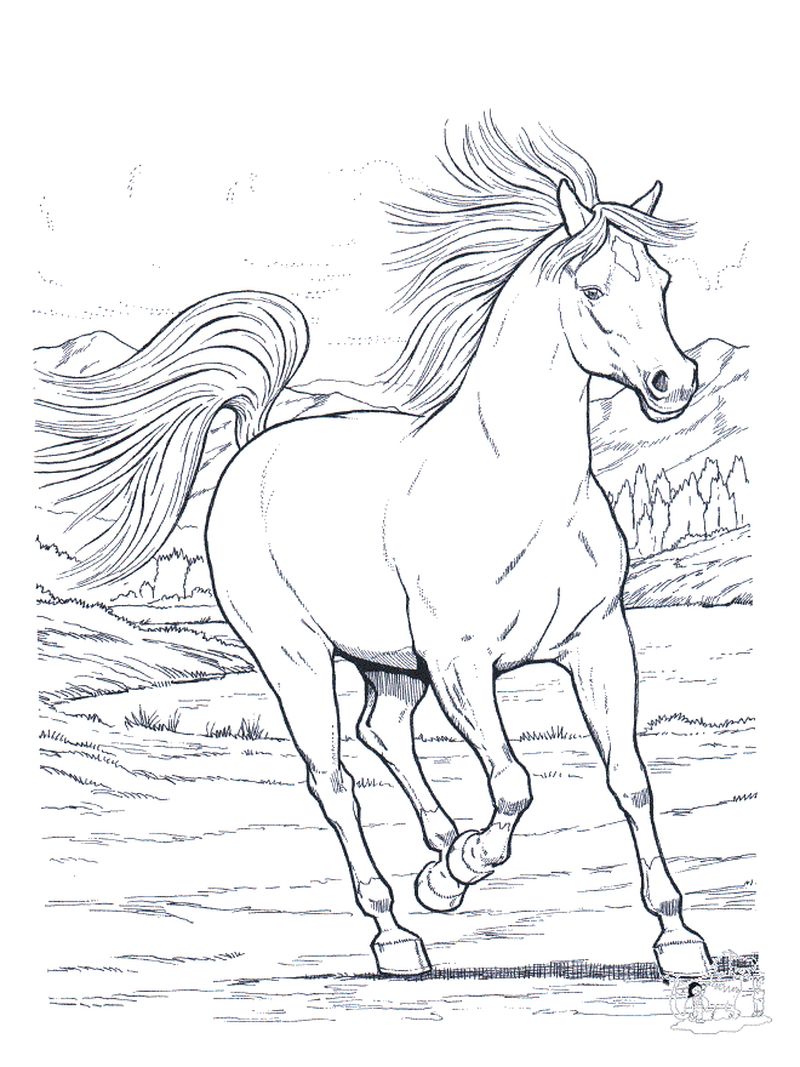 Horse Coloring Pages For Kids