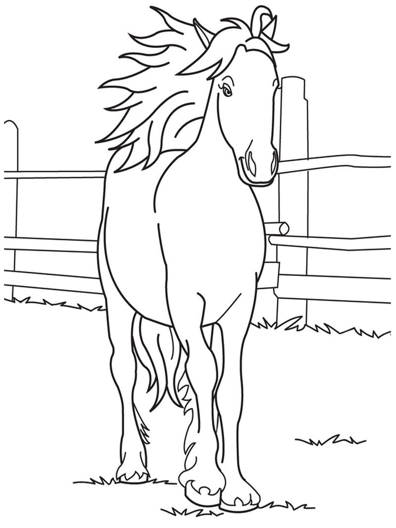 Horse Coloring Sheet