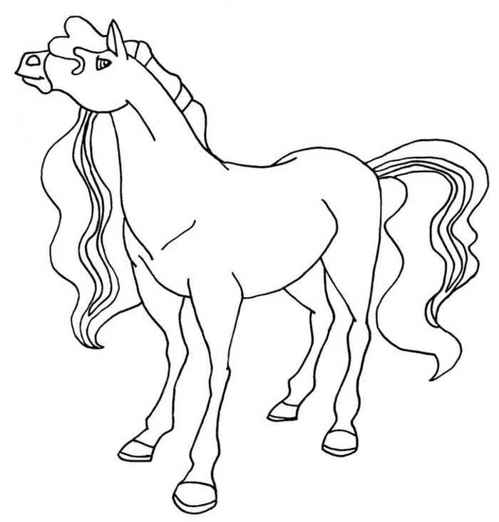 Horse Outline Coloring Page