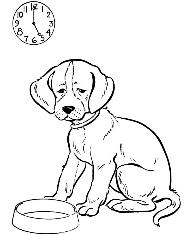 Hot Dog Coloring Page