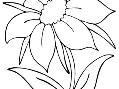 Jasmine Flowers Coloring Pages