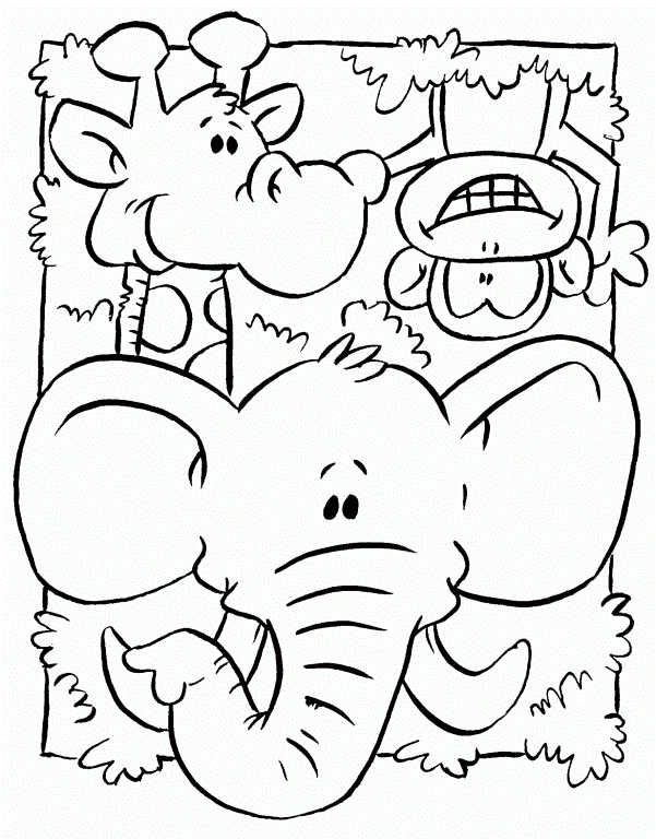 Jungle Animal Coloring Pages