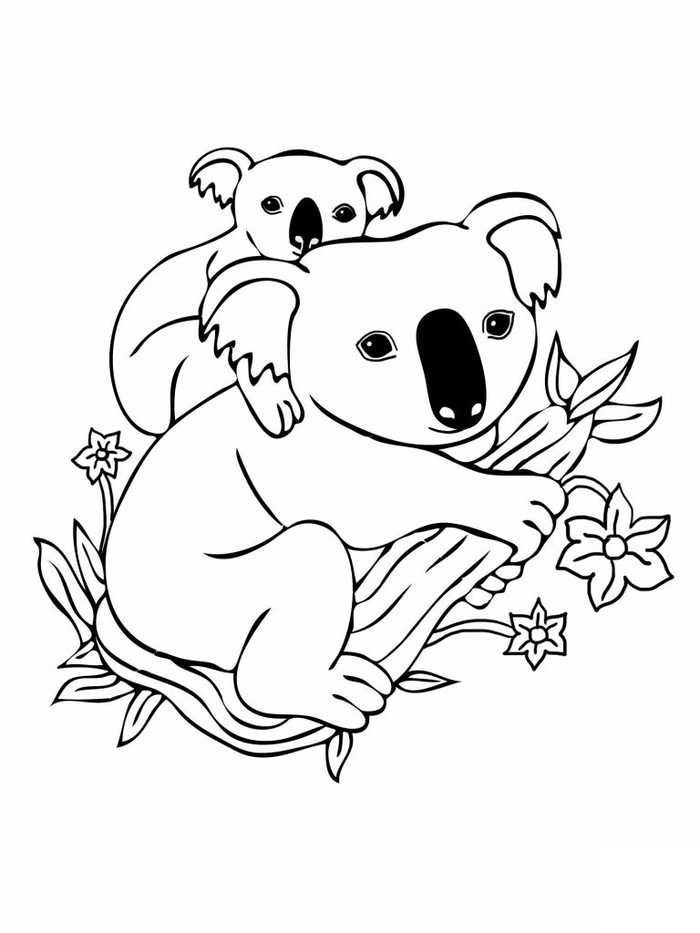 Koala Animal Coloring Pages