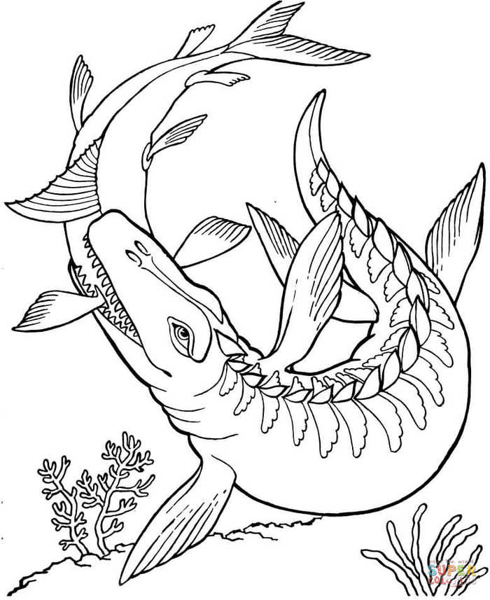 Kronosaurus Dinosaur Coloring Pages