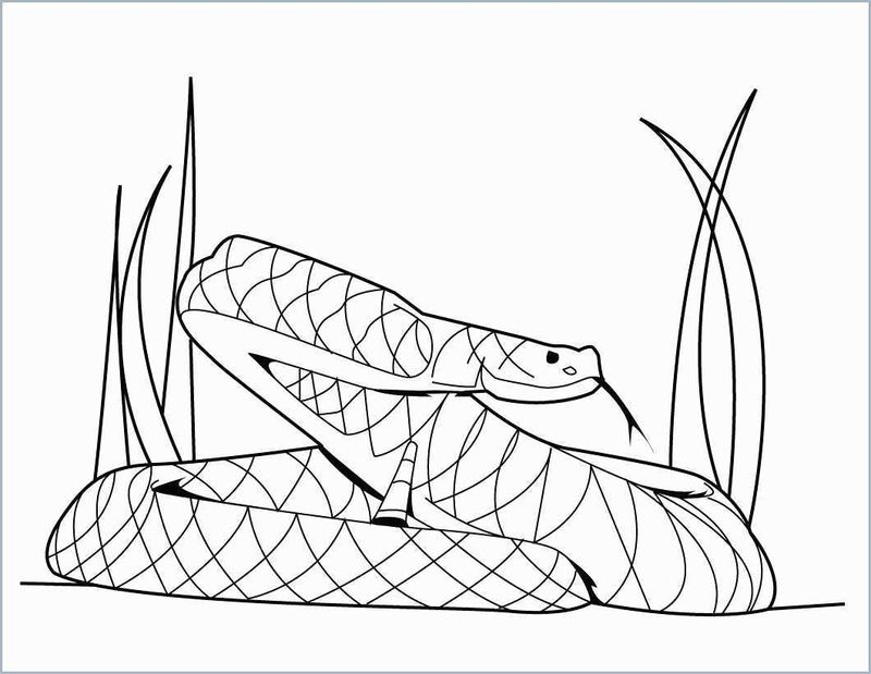 Lego Ninjago Snake Coloring Pages 1