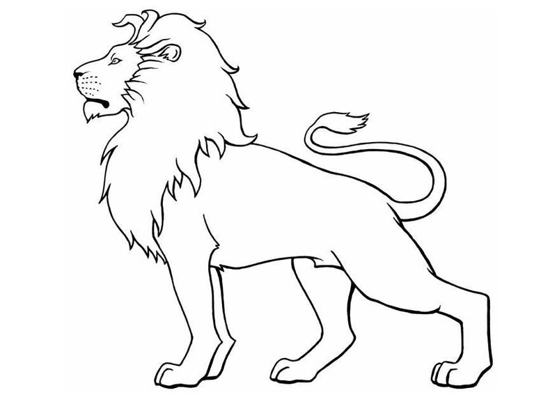 Lion Coloring Pages For Kids