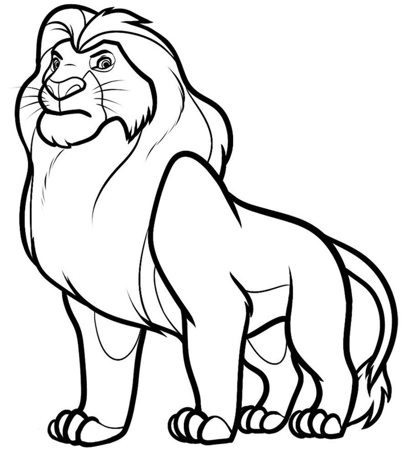 Lion Coloring Pages Photos