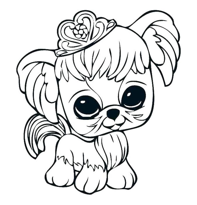 Littlest Pet Shop Coloring Pages Online