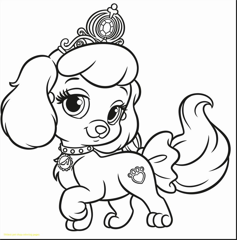 Littlest Pet Shop Coloring Pages Panda