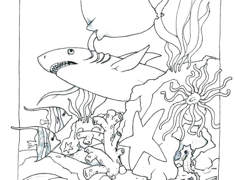 Ocean Animals Coloring Pages