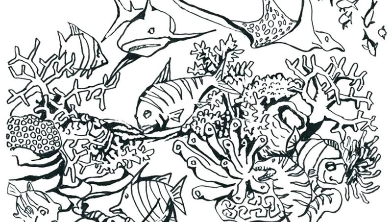 Ocean Coloring Book Pages