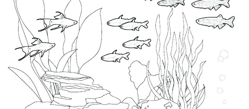 Ocean Coloring Pages For Kids 1