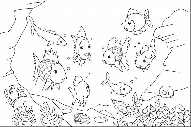 Ocean Habitat Coloring Pages