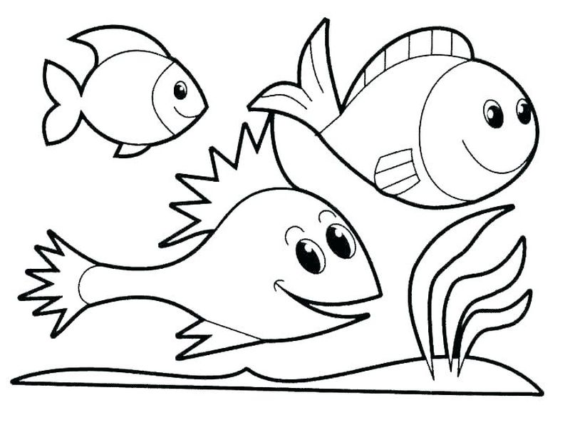 Ocean Life Coloring Pages Preschool