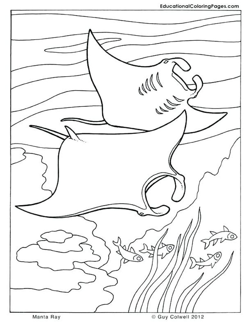 Ocean Scenes Coloring Pages