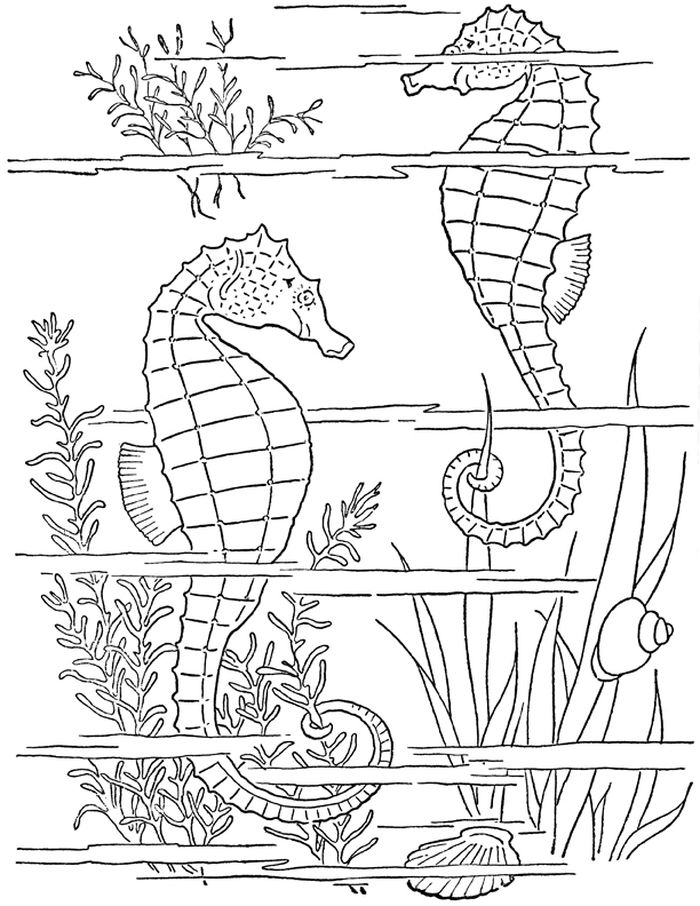 Ocean Seahorse Coloring Pages