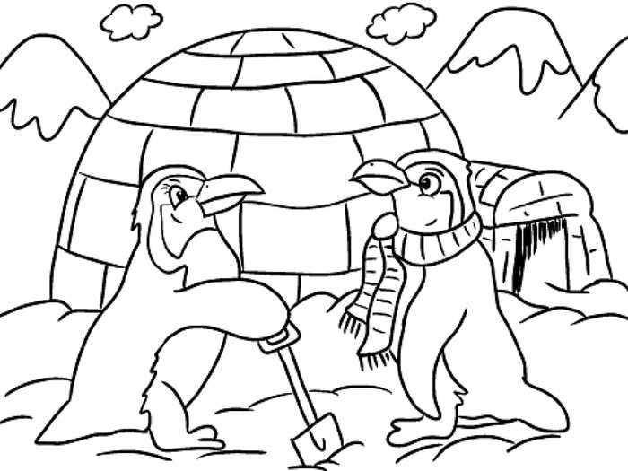 Penguin Coloring Pages