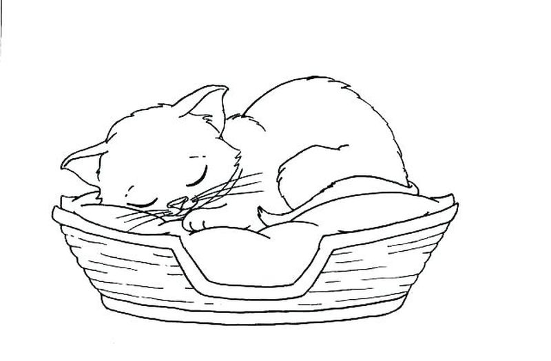 Pete The Cat Coloring Page Free