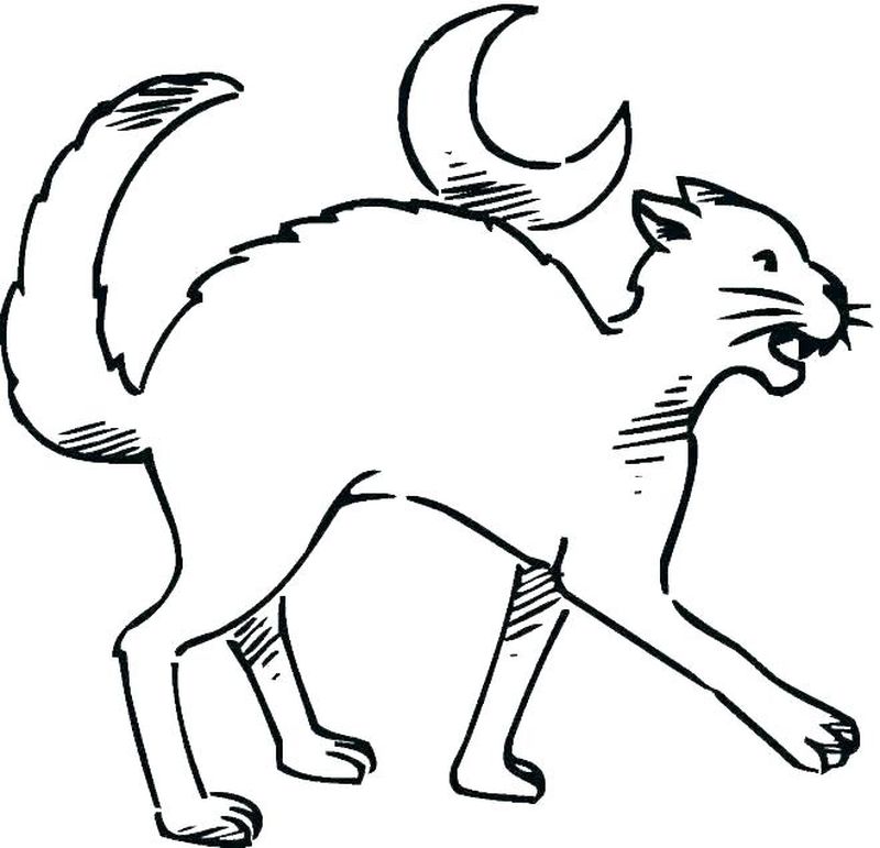 Pete The Cat Coloring Page Missing Button