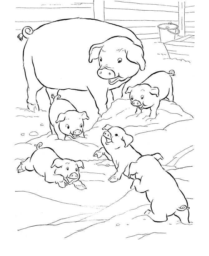 Pig And Babies Animal Coloring Pages