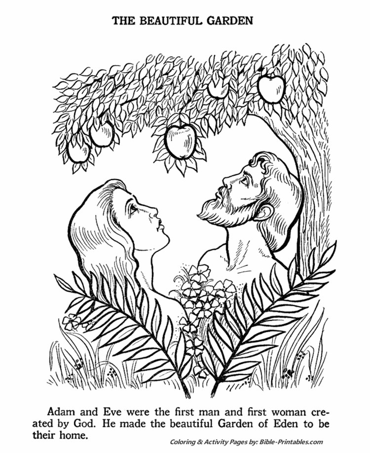 Preschool Coloring Pages Free Adam And Eve