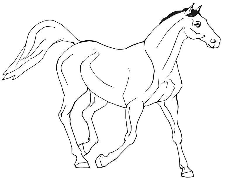 Princess Horse Coloring Pages