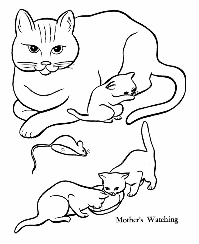 Printable Cat Coloring Pages