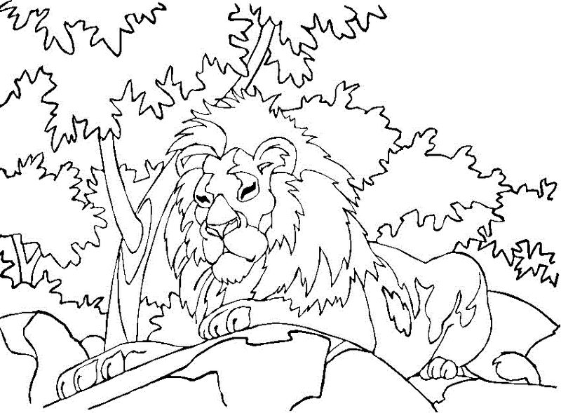 Printable Lion Coloring Pages