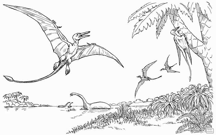 Pterodactyl Coloring Page