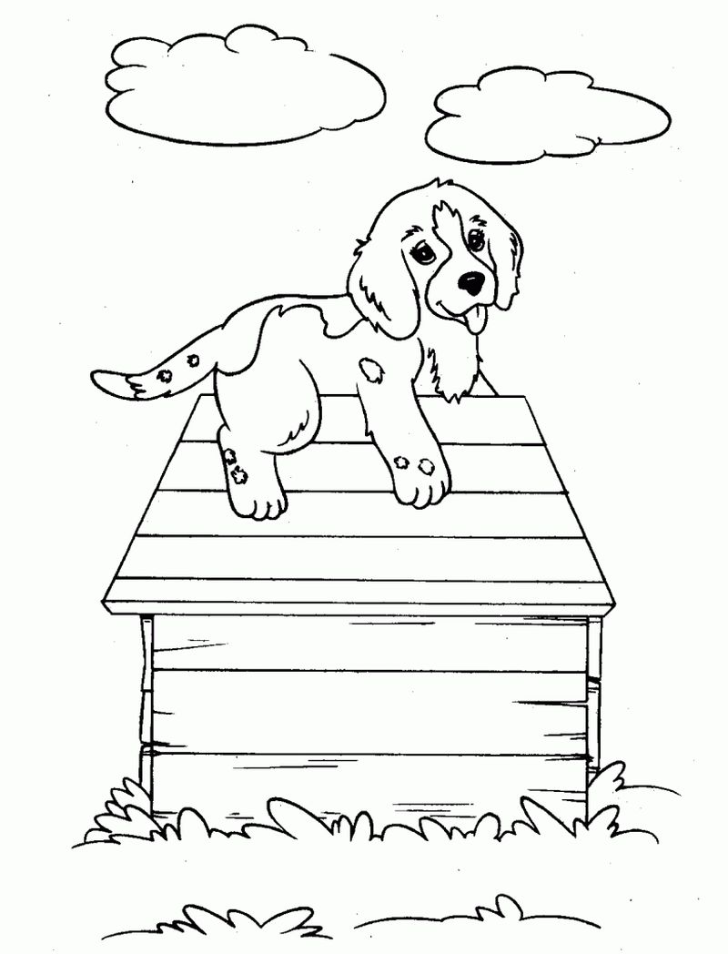 Puppy Dog Coloring Page