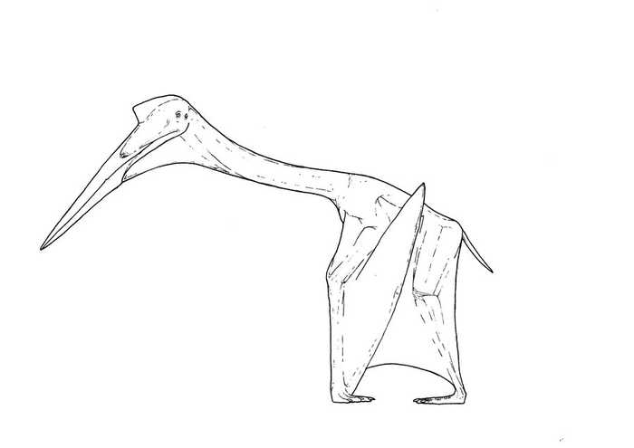 Quetzalcoatlus Coloring Page