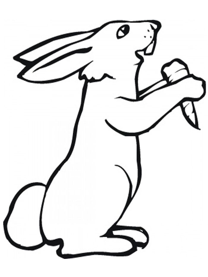 Rabbit Coloring Pages Printable