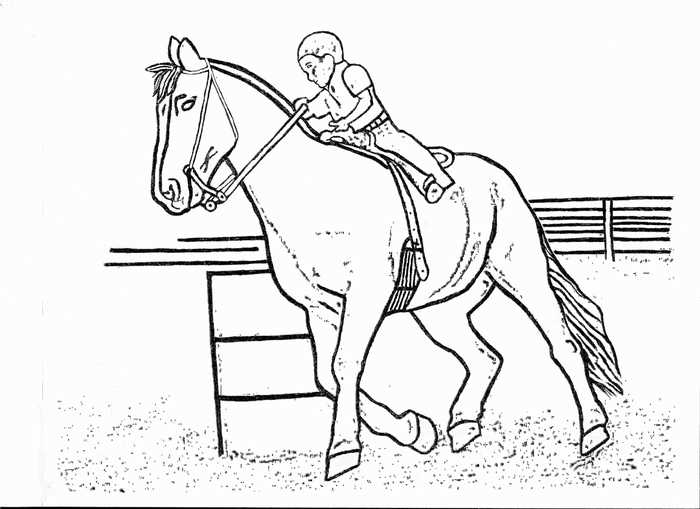 Race Horse Coloring Page