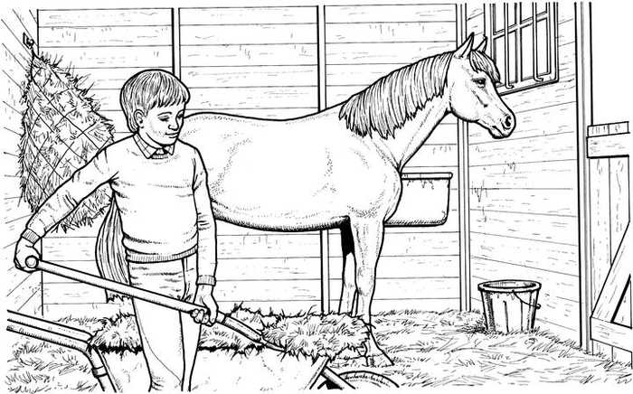 Realistic Horse Coloring Page 1