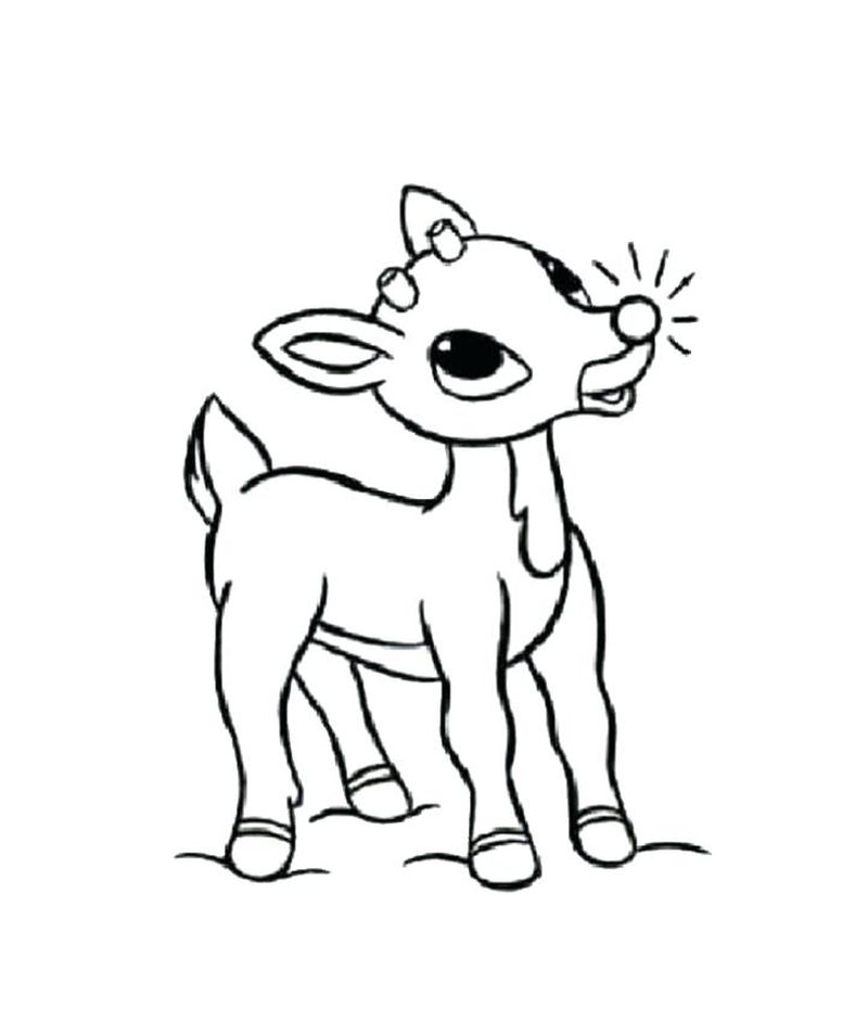 Reindeer Coloring Pages Online