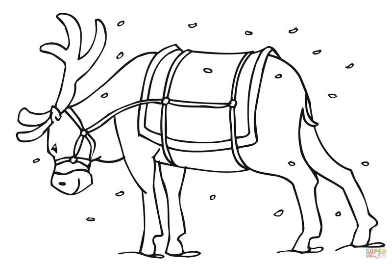 Reindeer Face Coloring Pages