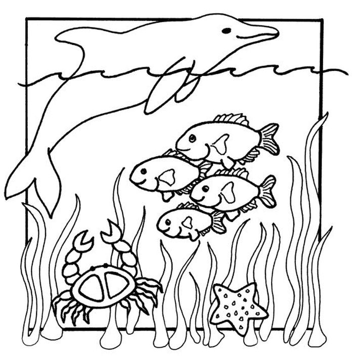 Sea Animals Coloring Pages For Preschoolers