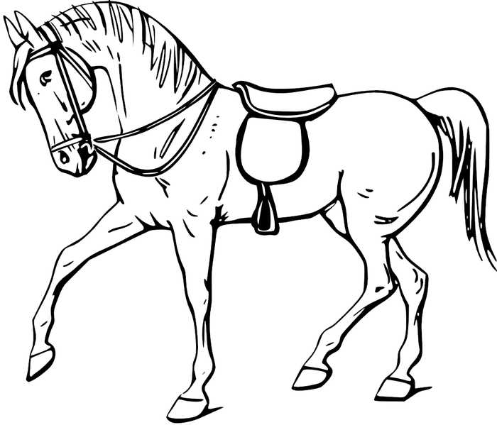 Simple Horse Coloring Pages