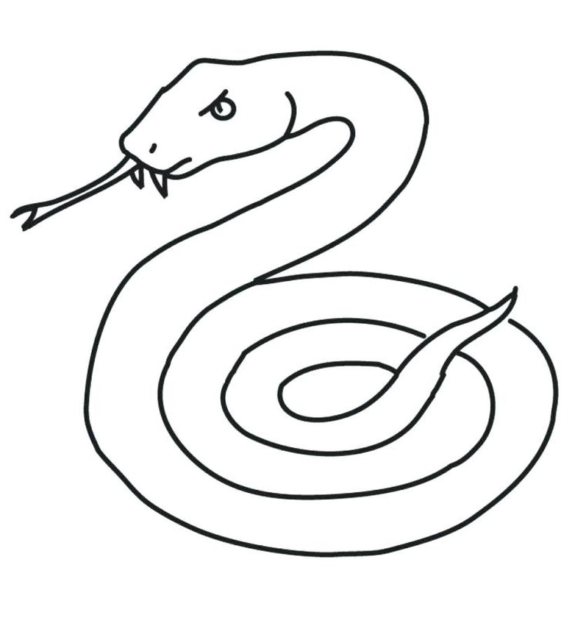 Snake Coloring Book Pages