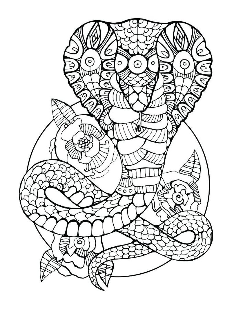 Snake Coloring Pages Pandas