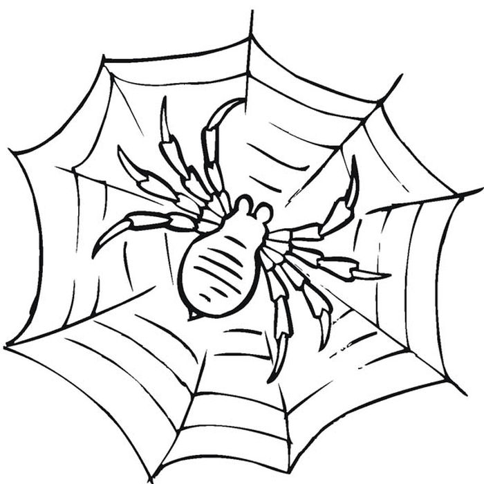 Spider Web Coloring Pages