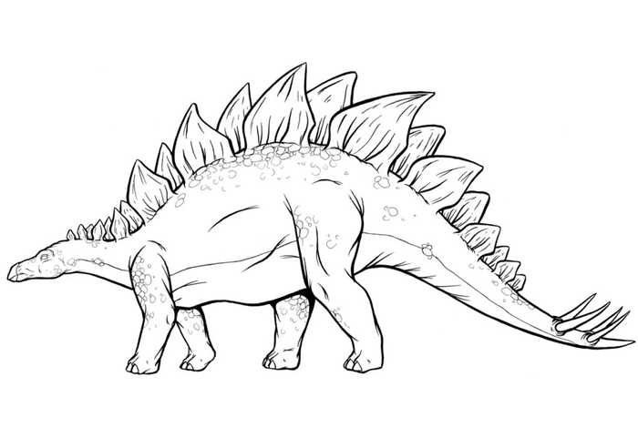 Stegosaurus Dinosaur Coloring Page