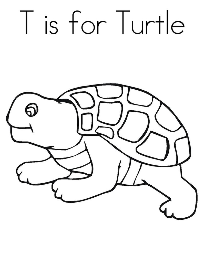 Turtle Coloring Pages To Print