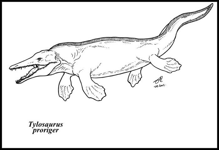 Tylosaurus Dinosaur Coloring Page