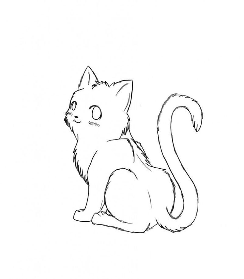 Wild Cats Coloring Pages