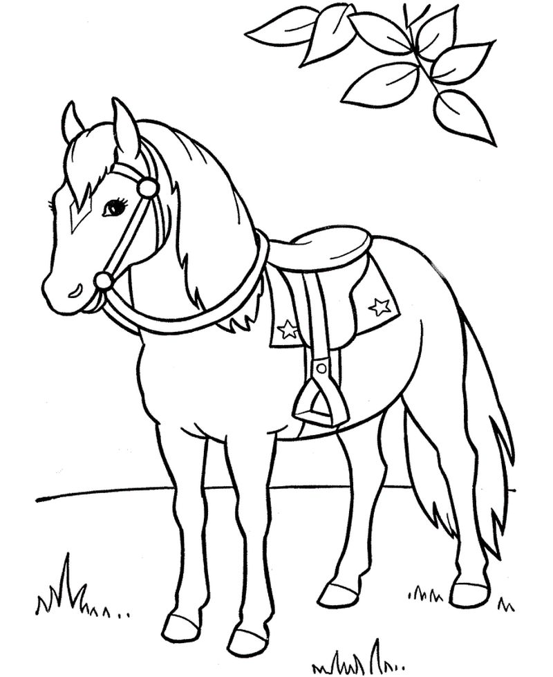 Wild Horse Coloring Pages